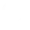 Search
